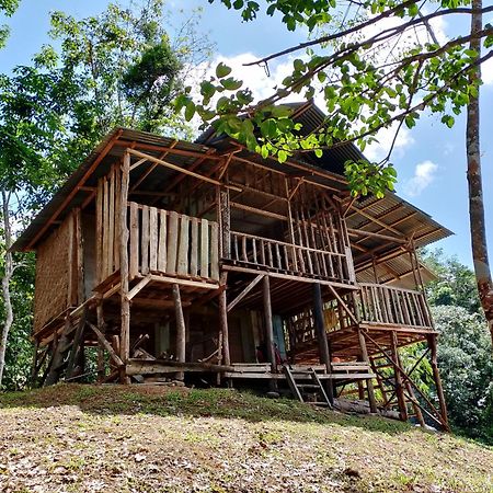 Orangutantreksumatra & Lovely Jungle Lodge Only Book If You Are Treking With Us Bukit Lawang Exteriér fotografie