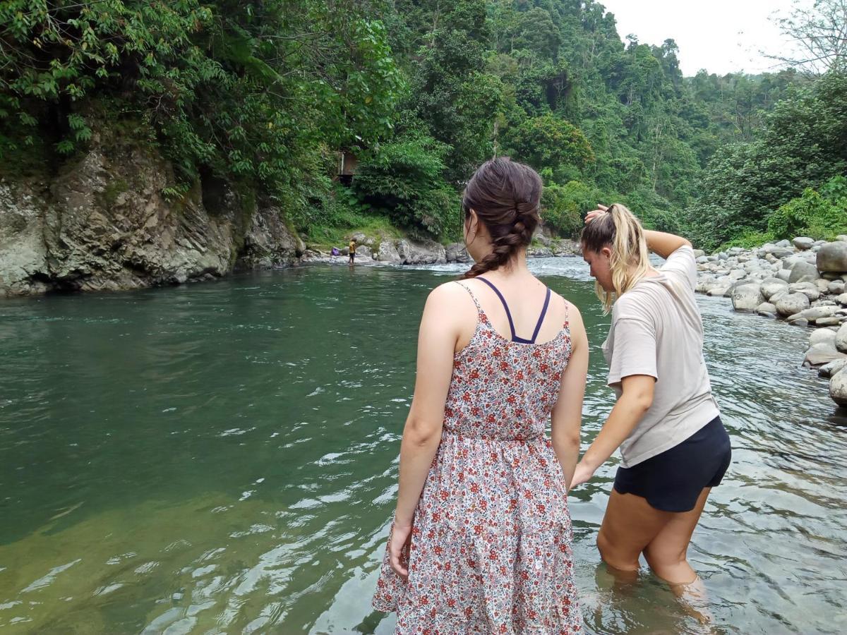 Orangutantreksumatra & Lovely Jungle Lodge Only Book If You Are Treking With Us Bukit Lawang Exteriér fotografie
