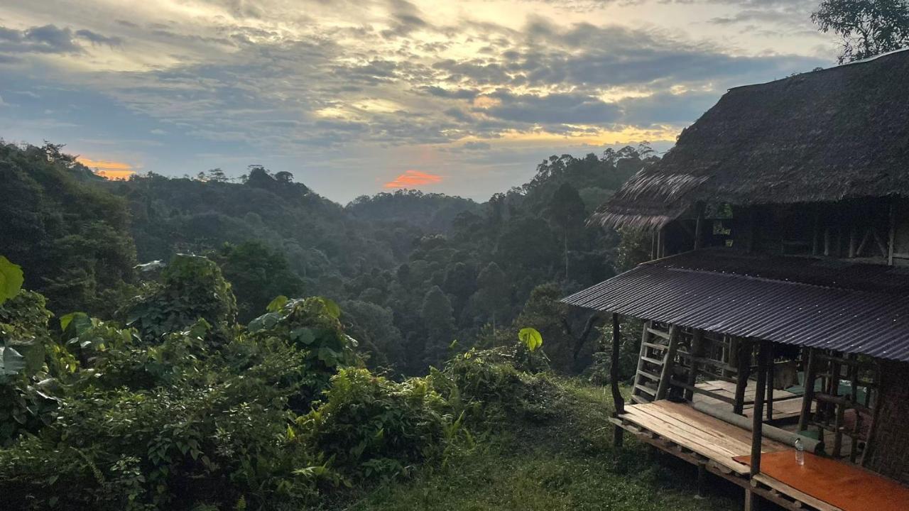 Orangutantreksumatra & Lovely Jungle Lodge Only Book If You Are Treking With Us Bukit Lawang Exteriér fotografie
