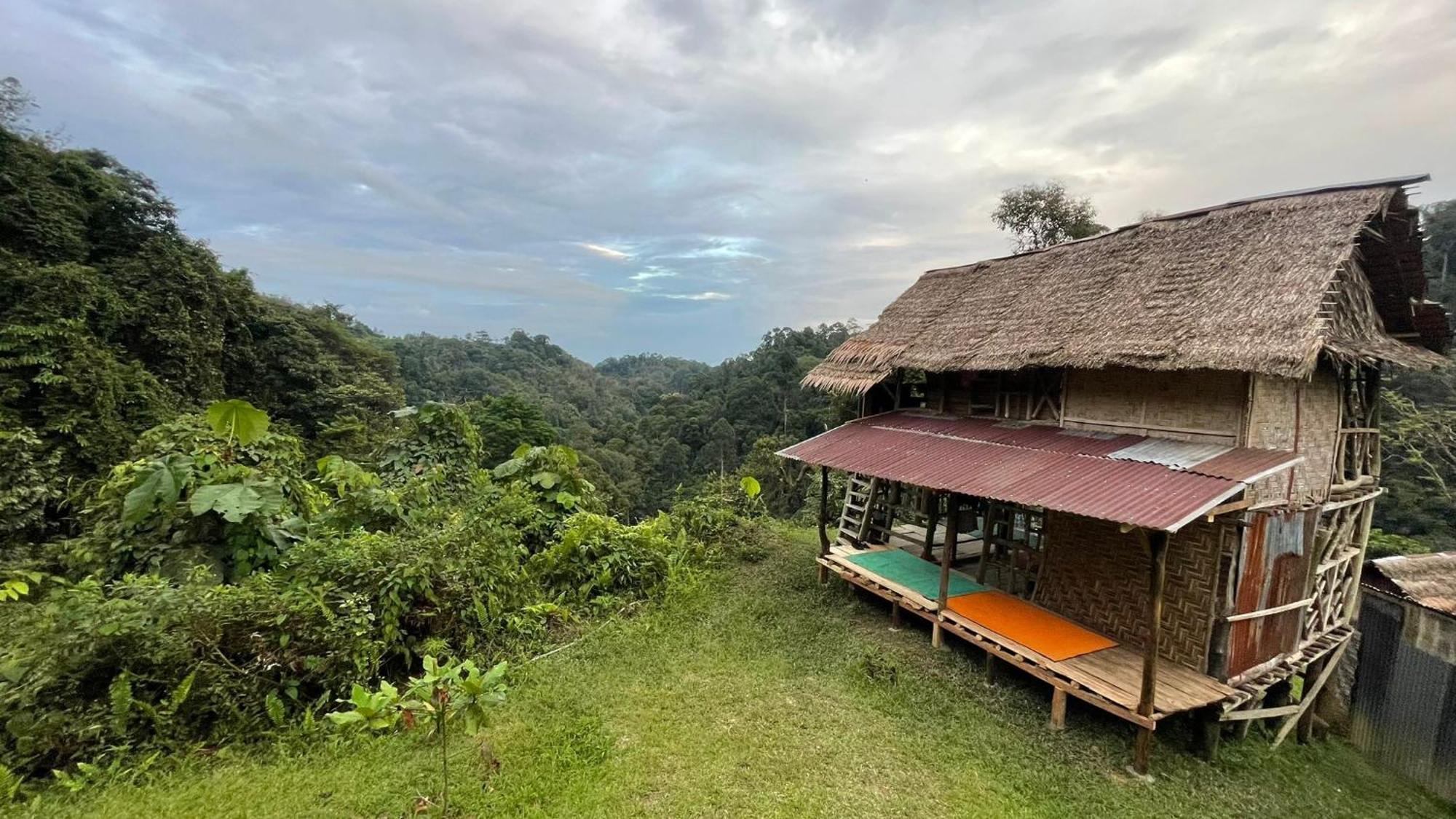 Orangutantreksumatra & Lovely Jungle Lodge Only Book If You Are Treking With Us Bukit Lawang Pokoj fotografie