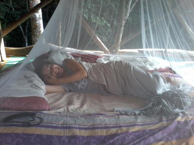 Orangutantreksumatra & Lovely Jungle Lodge Only Book If You Are Treking With Us Bukit Lawang Pokoj fotografie