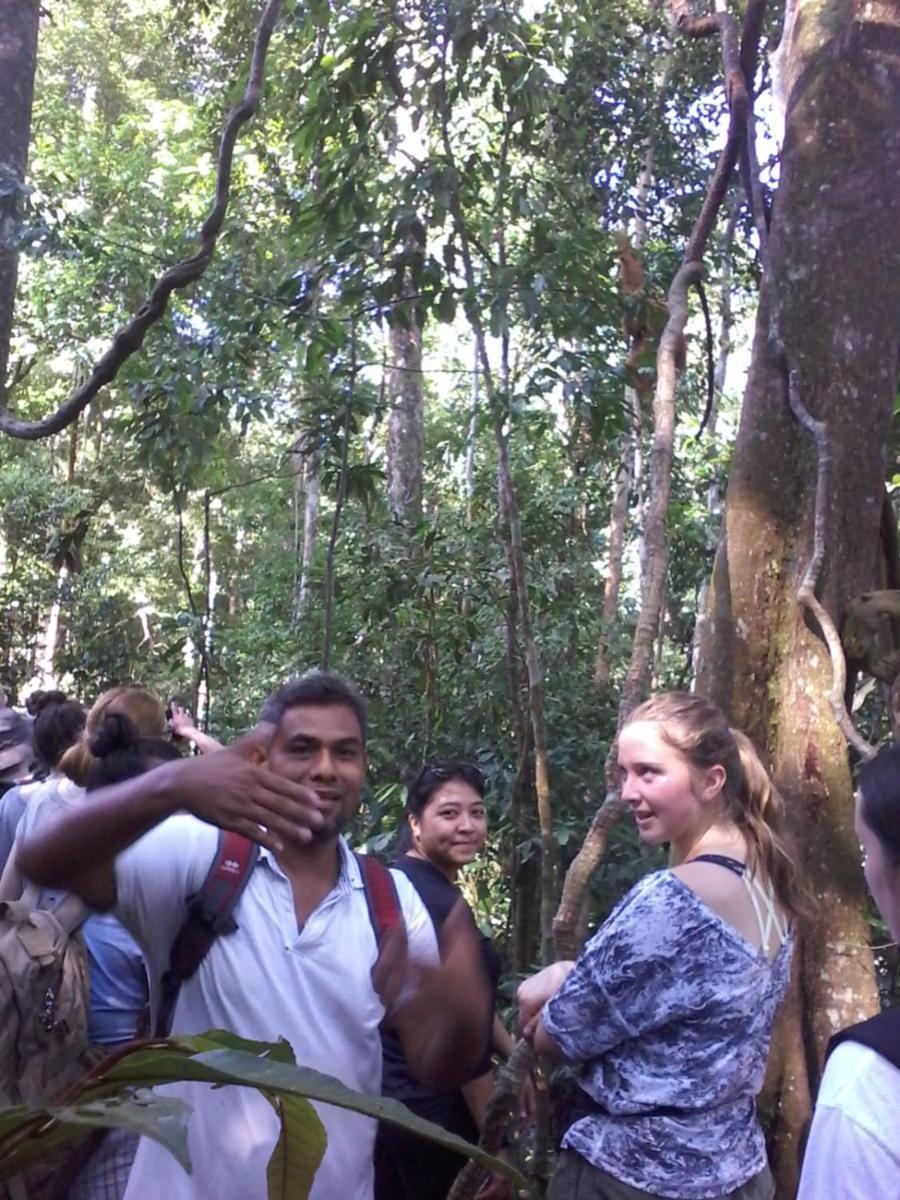 Orangutantreksumatra & Lovely Jungle Lodge Only Book If You Are Treking With Us Bukit Lawang Pokoj fotografie