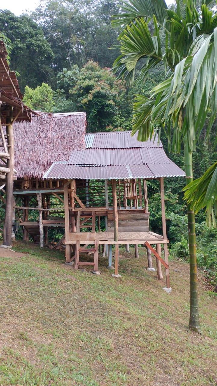 Orangutantreksumatra & Lovely Jungle Lodge Only Book If You Are Treking With Us Bukit Lawang Exteriér fotografie