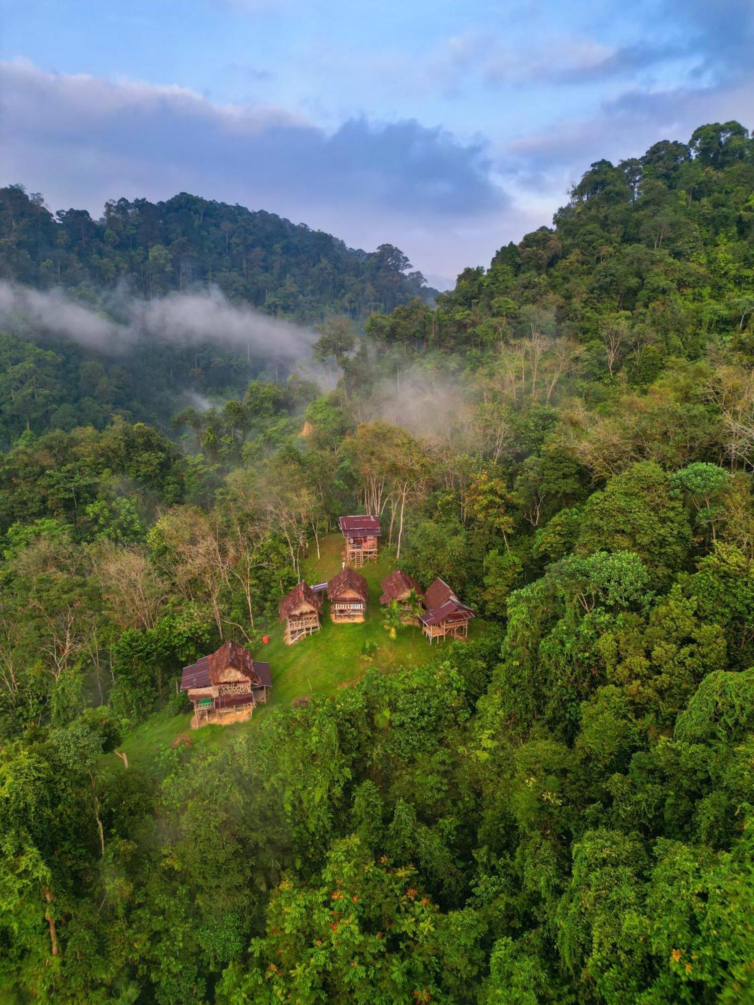Orangutantreksumatra & Lovely Jungle Lodge Only Book If You Are Treking With Us Bukit Lawang Exteriér fotografie