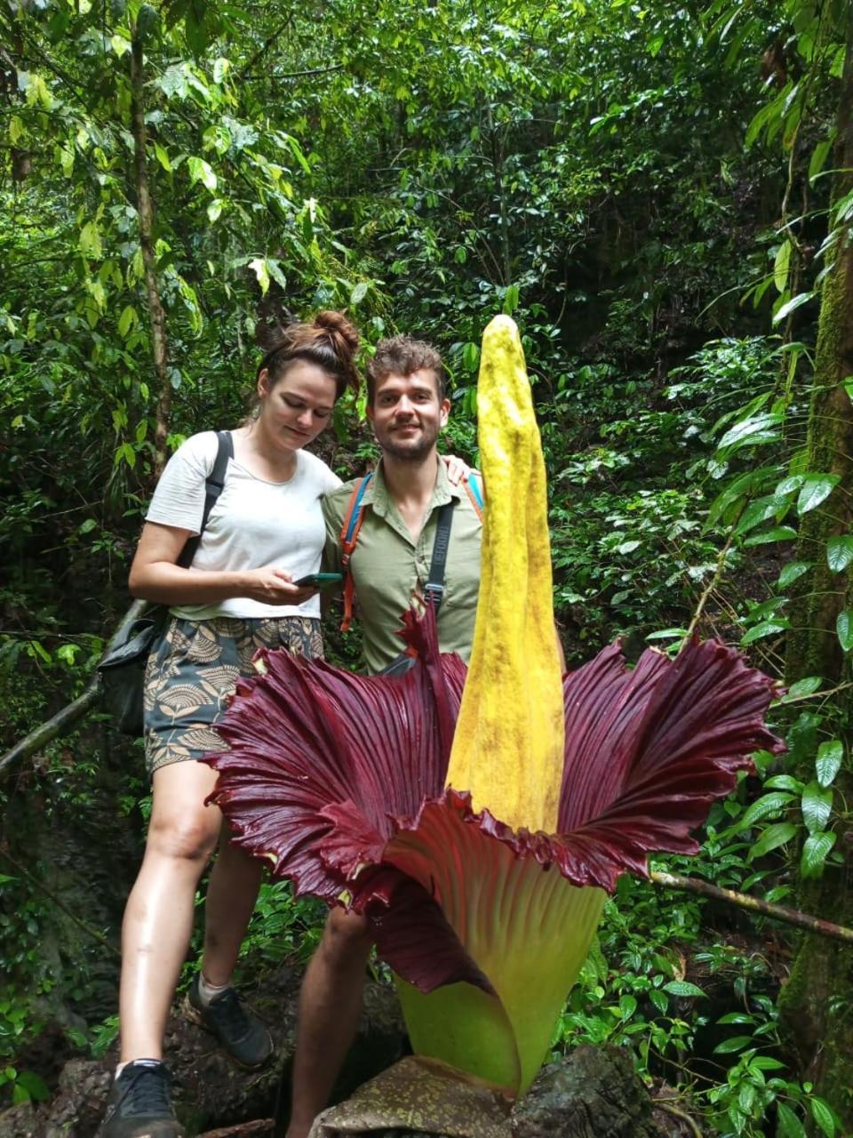 Orangutantreksumatra & Lovely Jungle Lodge Only Book If You Are Treking With Us Bukit Lawang Exteriér fotografie