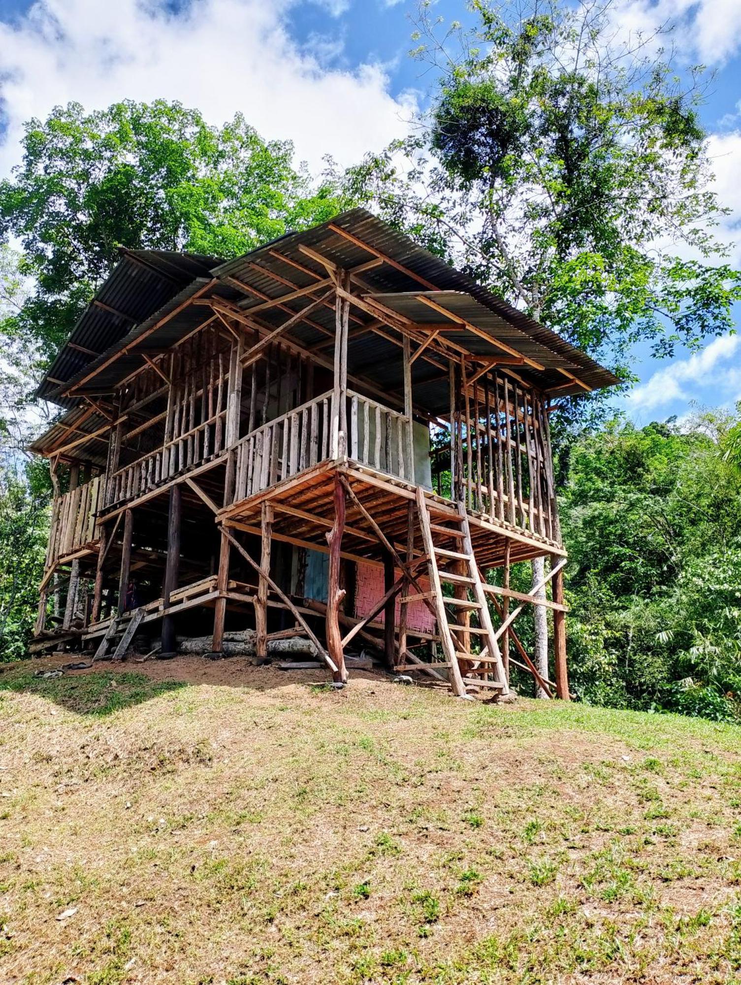 Orangutantreksumatra & Lovely Jungle Lodge Only Book If You Are Treking With Us Bukit Lawang Exteriér fotografie