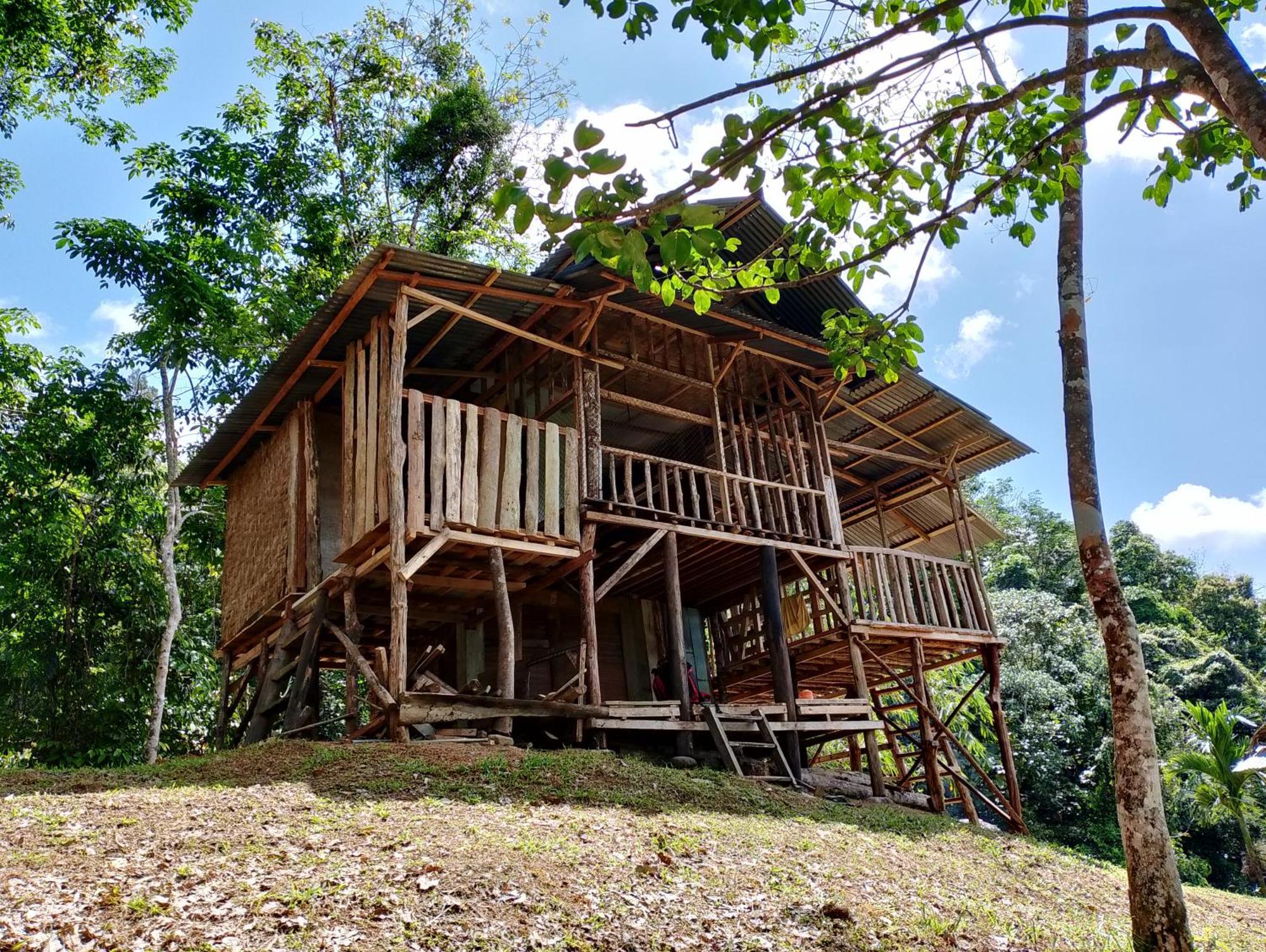 Orangutantreksumatra & Lovely Jungle Lodge Only Book If You Are Treking With Us Bukit Lawang Exteriér fotografie